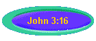 John 3:16